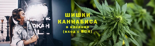 PSILOCYBIN Абаза