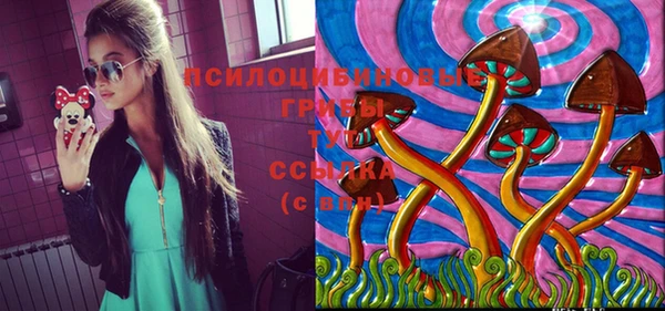 PSILOCYBIN Абаза