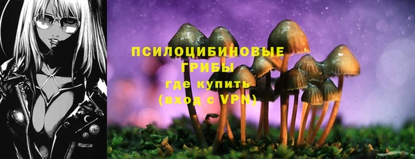 спиды Абинск