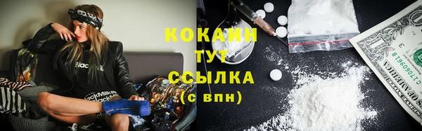 PSILOCYBIN Абаза